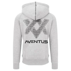 GURU Vêtements|Vêtements-Sweat à capuche AVENTUS HOODIE GREY