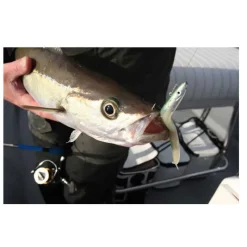 FIIISH Leurres|Pêche Aux Leurres-Tete plombee crazy sand eel 150 deep 30g (x2)