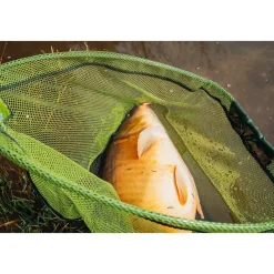 TEOS Épuisettes / Bourriches|Epuisettes / Bourriches-Tête d'épuisette Folding Net 650