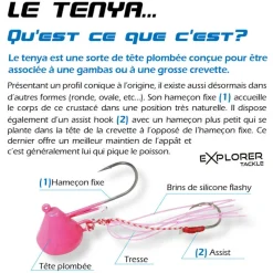 EXPLORER TACKLE Leurres|Pêche Au Tenya-Tête plombée magic tenya deep coque