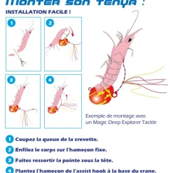 EXPLORER TACKLE Leurres|Pêche Au Tenya-Tête plombée magic tenya deep coque