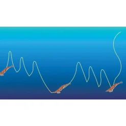 FU-SHIMA Pêche Eging|Leurres-Turlutte sea shell 12cm 22g