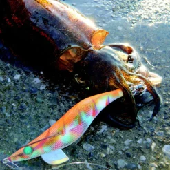 YAMASHITA Pêche Eging|Leurres-Turlutte egi sutte r 1.8 5g